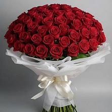 Букет 101 Красная роза Блэк Мэджик #REPLACE_PRED# Нытве