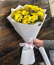 Букет цветов из:  Хризантемы #REPLACE_PRED# Нытве
