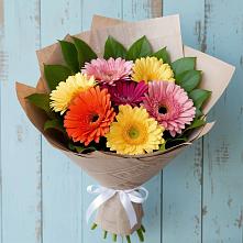 Букет цветов из:  Герберы в Нытве