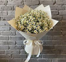 Букет цветов из:  Ромашки #REPLACE_PRED# Нытве
