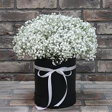 Цветочная композиция из Гипсофила в шляпной коробке #REPLACE_PRED# Нытве