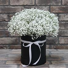 Цветочная композиция из Гипсофила в шляпной коробке в Нытве