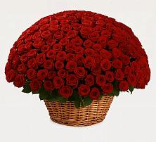 Премиум букет из: Розы в Нытве