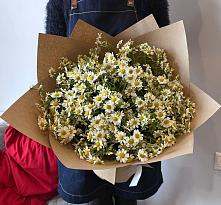 Букет цветов из:  Ромашки #REPLACE_PRED# Нытве